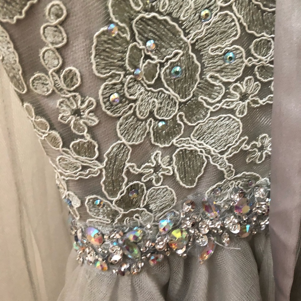 Silver Dress - Picture 3 of 3